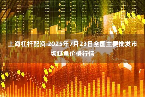 上海杠杆配资 2025年7月23日全国主要批发市场鲢鱼价格行情