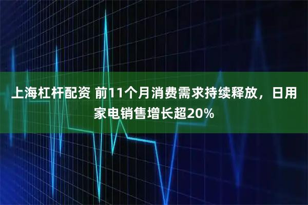 上海杠杆配资 前11个月消费需求持续释放，日用家电销售增长超20%
